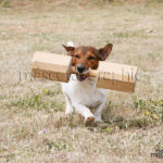 Jack Roussel corriendo con una  pesa de madera - Jack Roussel running whit a wooden weight